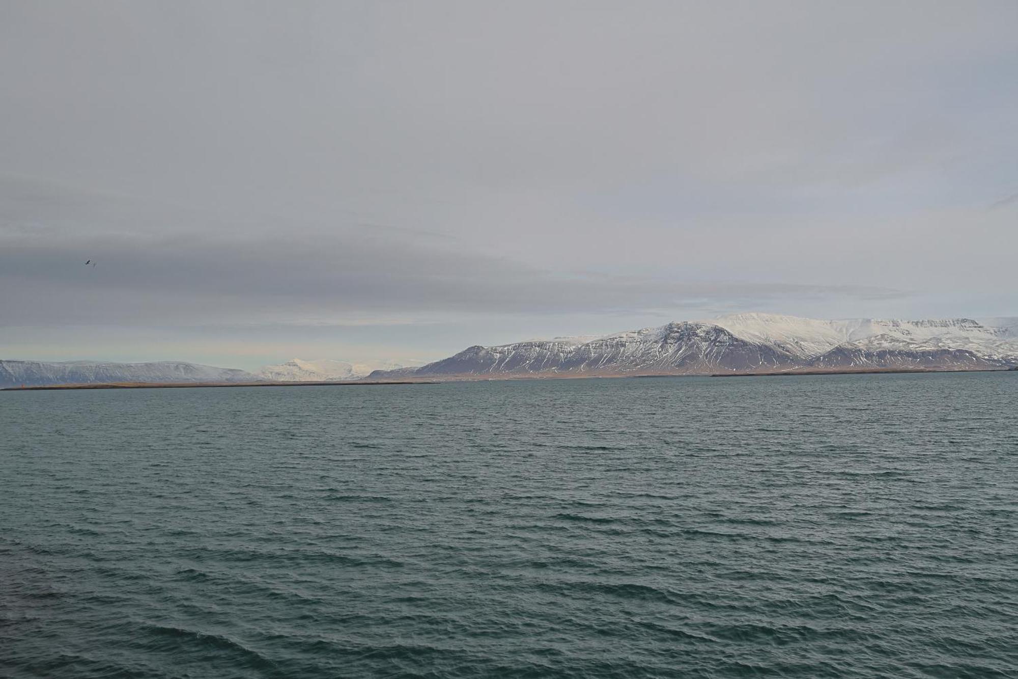 Ragna'S Apartment Downtown. Reykjavík Dış mekan fotoğraf